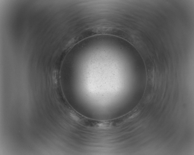 X0000054400232200508121707