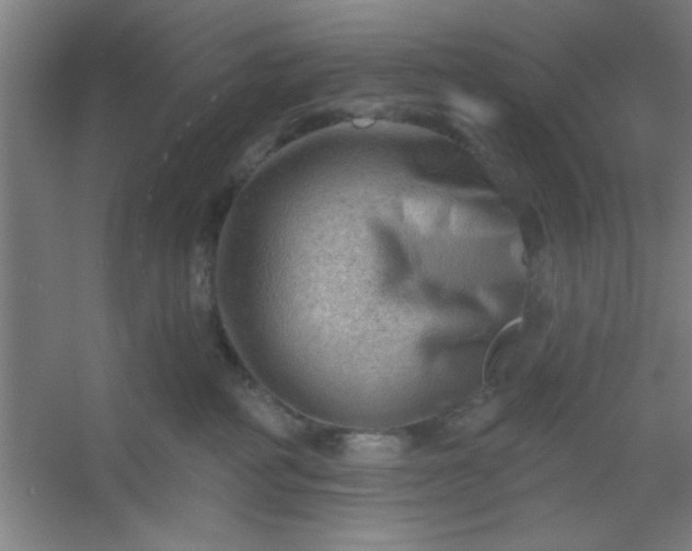 X0000054400234200508121707