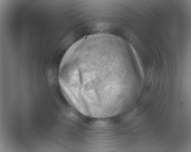 X0000054400236200508121707