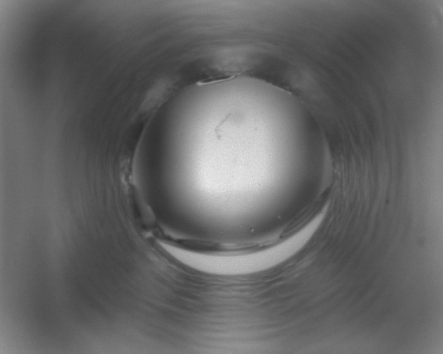 X0000054400237200508121707