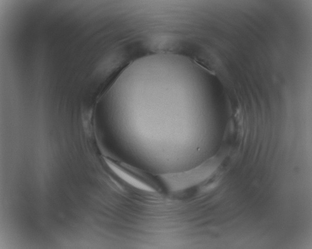 X0000054400239200508121707