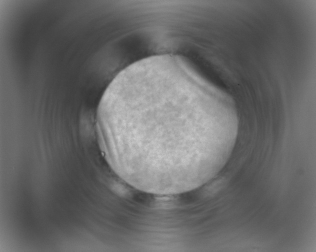 X0000054400240200508121707