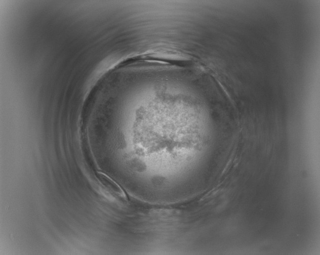 X0000054400242200508121706