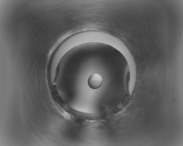 X0000054400244200508121706