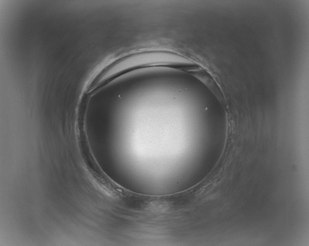 X0000054400248200508121706