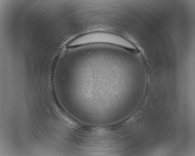 X0000054400249200508121706