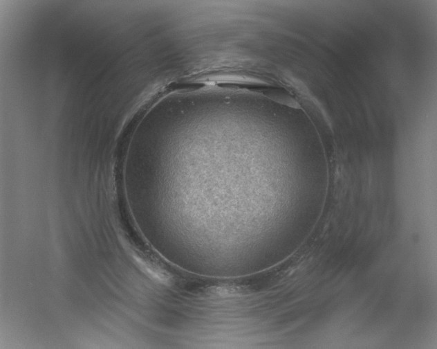 X0000054400250200508121706