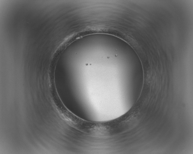 X0000054400256200508121706