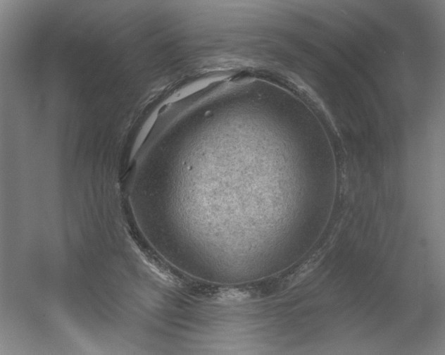 X0000054400257200508121706