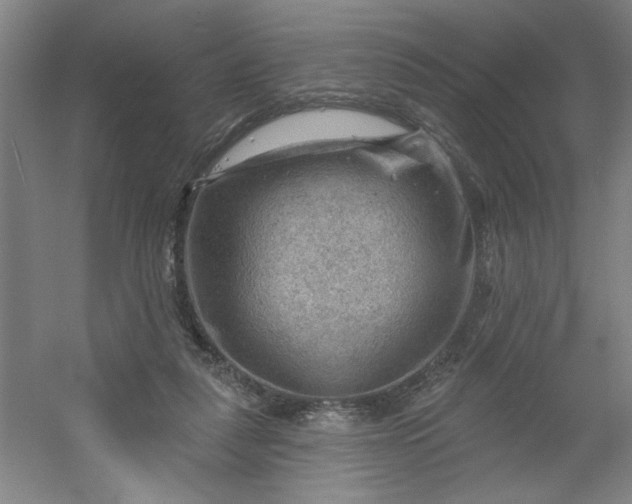 X0000054400259200508121706