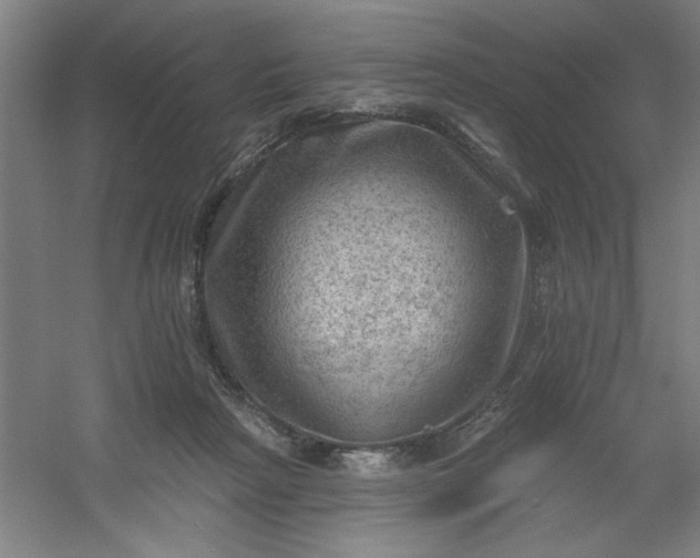 X0000054400265200508121707