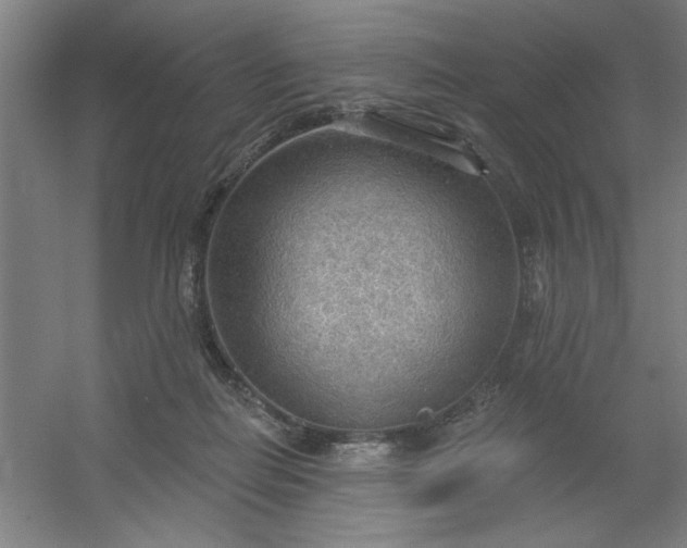 X0000054400266200508121707