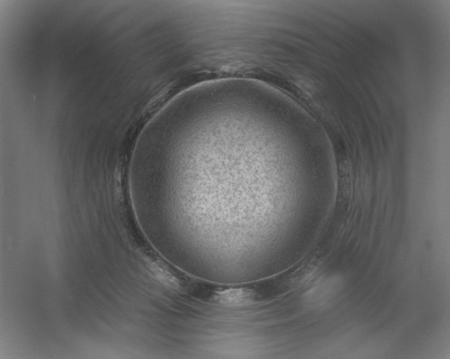 X0000054400269200508121707