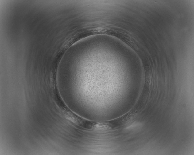 X0000054400270200508121707