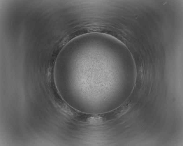 X0000054400271200508121707