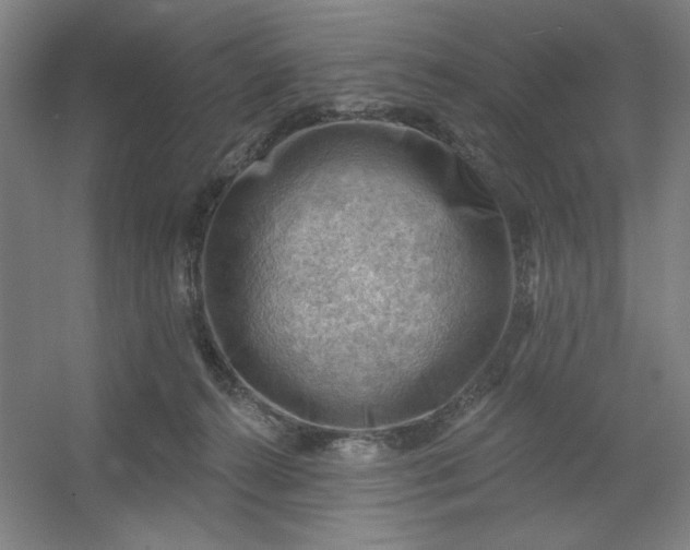 X0000054400272200508121707