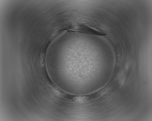 X0000054400273200508121707