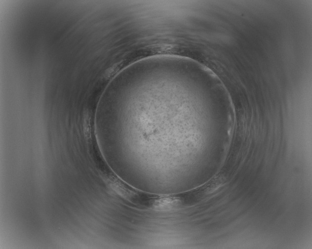 X0000054400274200508121707