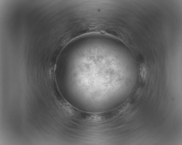 X0000054400276200508121707