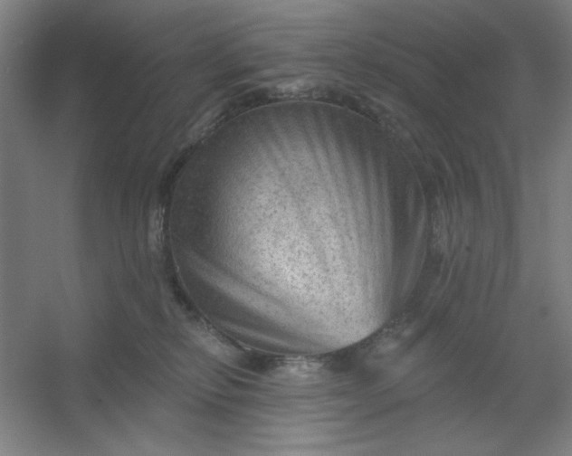 X0000054400278200508121707