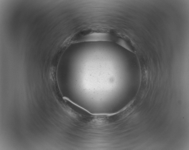 X0000054400280200508121707