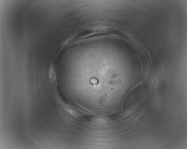 X0000054400282200508121707