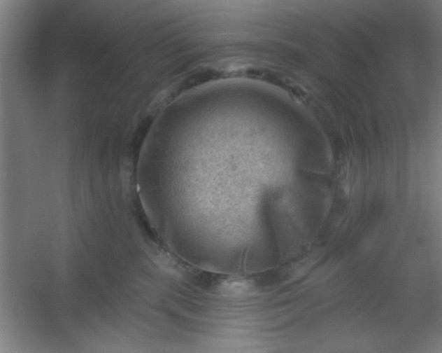 X0000054400283200508121707