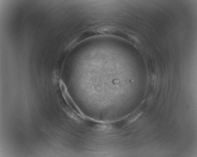 X0000054400284200508121707