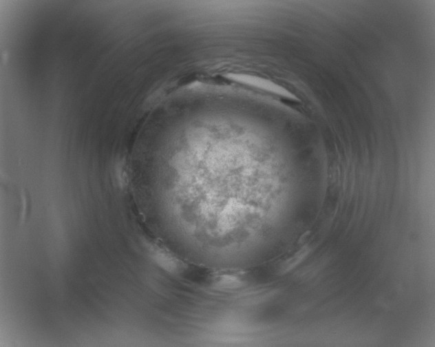 X0000054400285200508121707