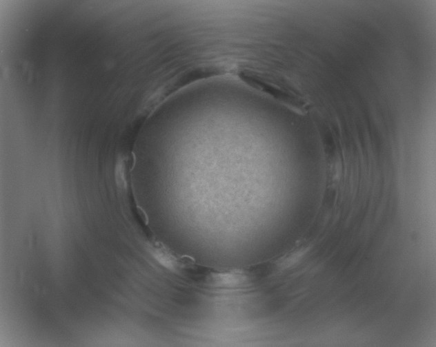 X0000054400286200508121707