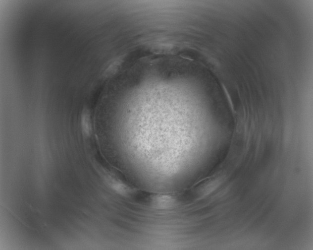 X0000054400287200508121707