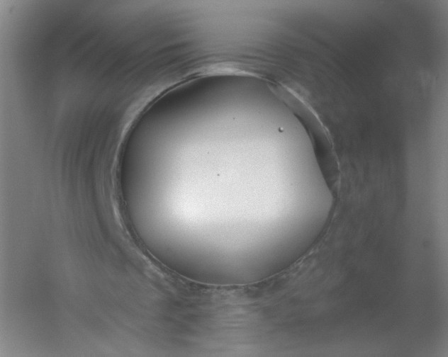 X0000054400289200508121706