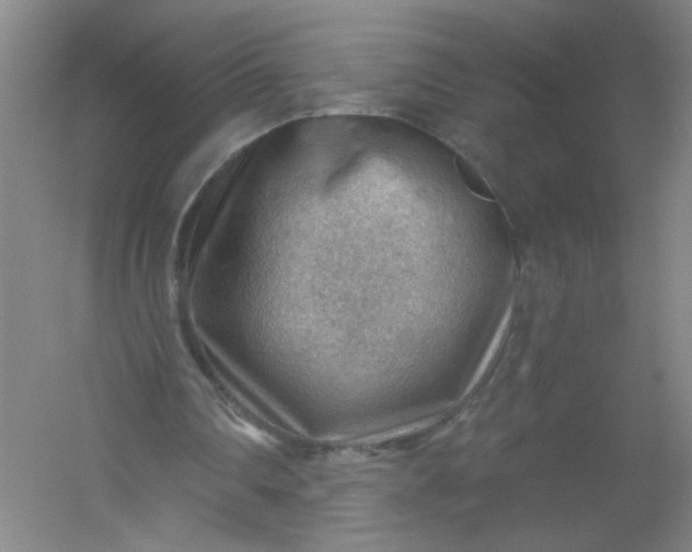 X0000054400290200508121706