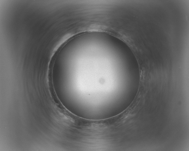 X0000054400292200508121706