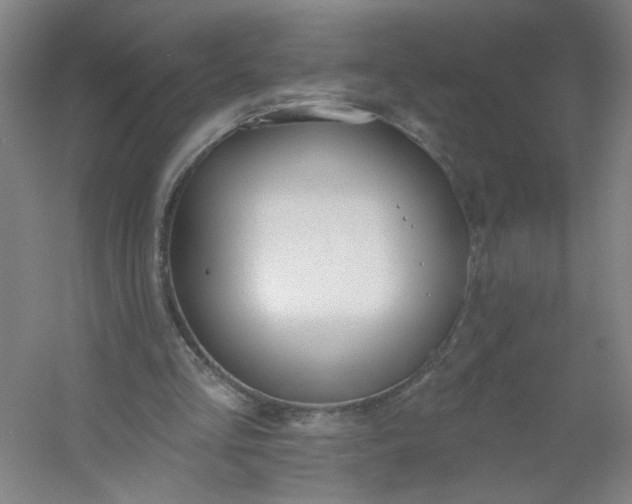 X0000054400293200508121706