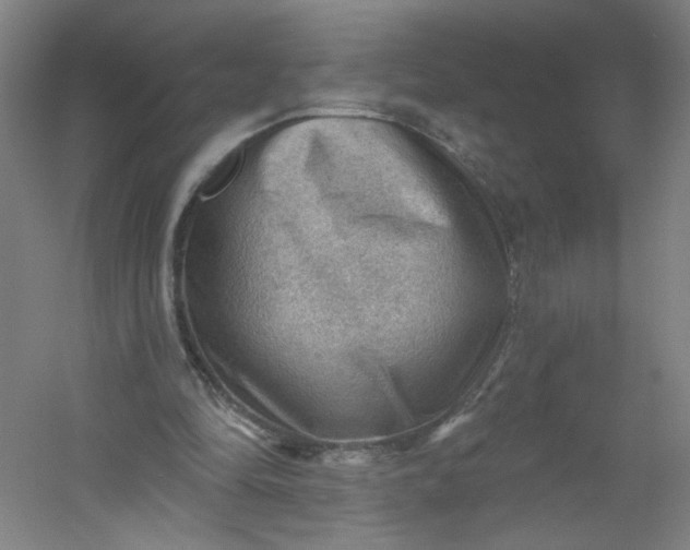 X0000054400294200508121706