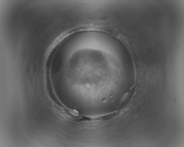 X0000054400295200508121706