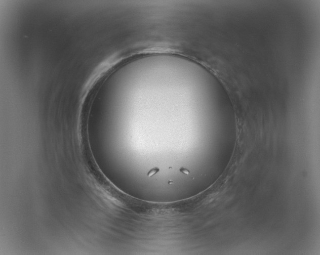 X0000054400296200508121706