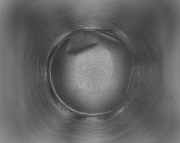 X0000054400298200508121706