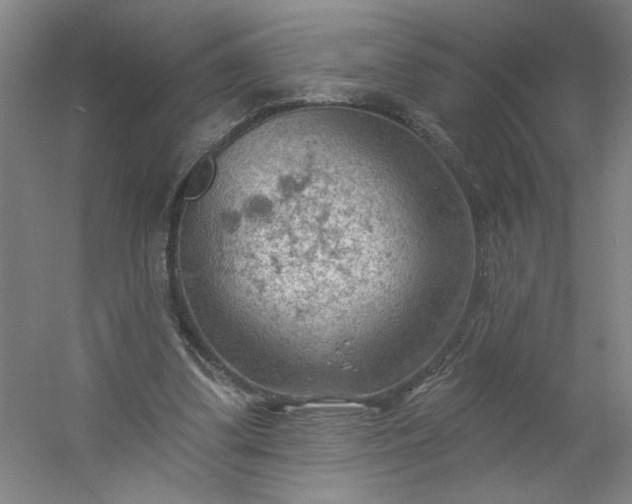 X0000054400299200508121706