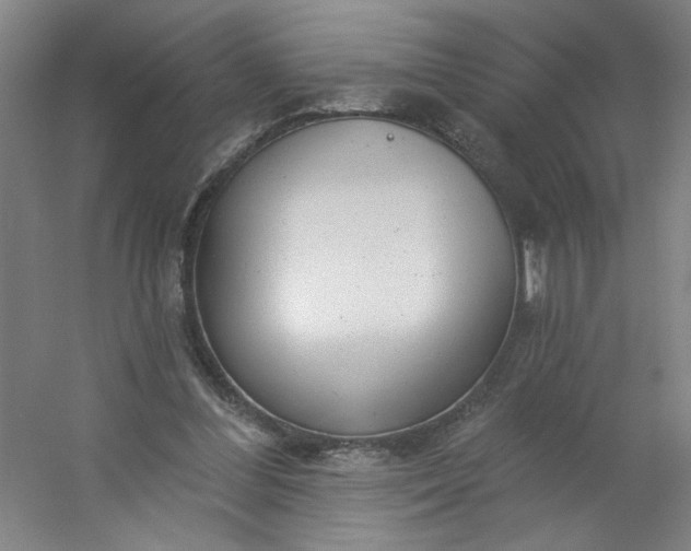 X0000054400300200508121706