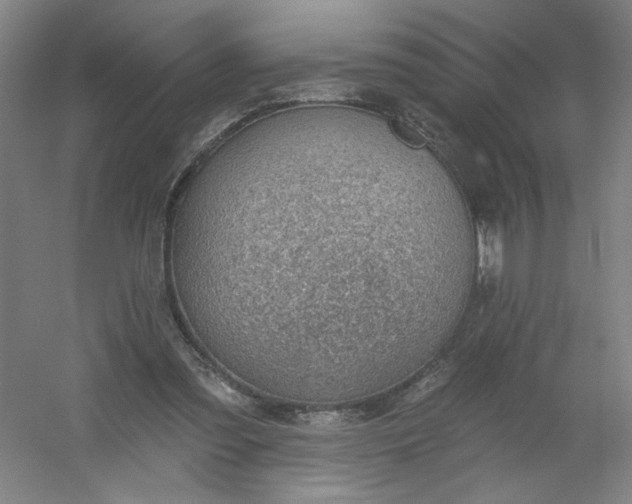 X0000054400301200508121706