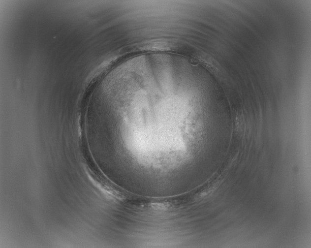 X0000054400302200508121706