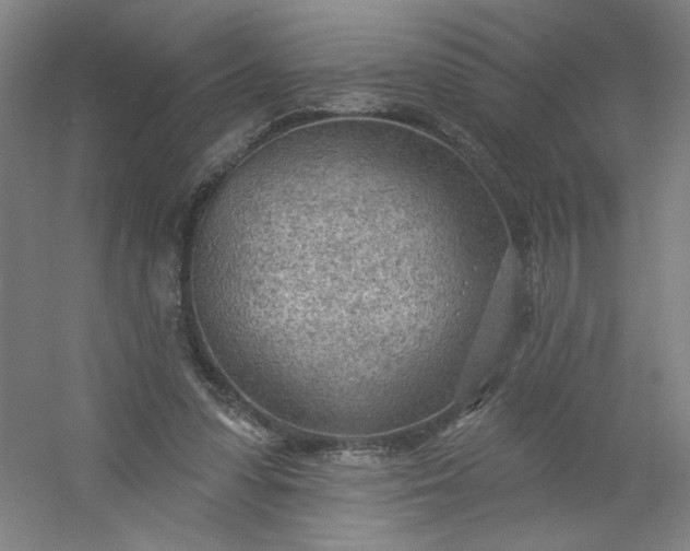 X0000054400303200508121706