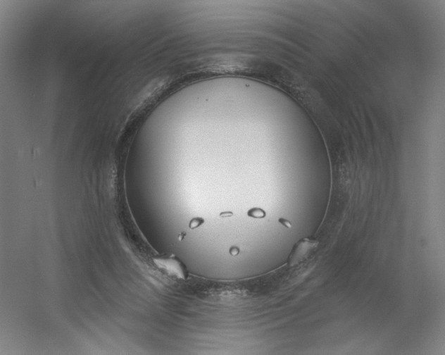 X0000054400304200508121706