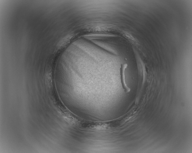 X0000054400306200508121706