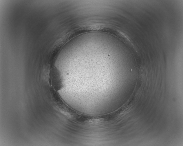 X0000054400307200508121706