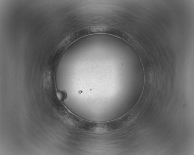 X0000054400308200508121706