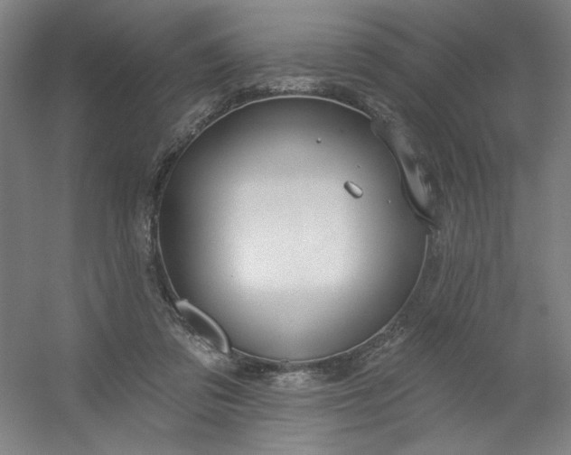 X0000054400309200508121706