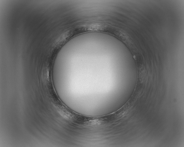 X0000054400310200508121706